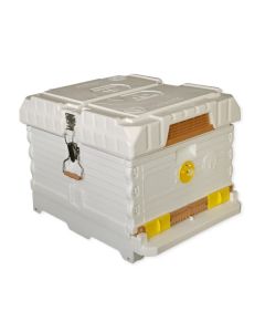 Apimaye 10-Frame Starter Hive - 4 Frames Bees & Newly Raised mated tested queen plus 6 FD waxed frames - RTG