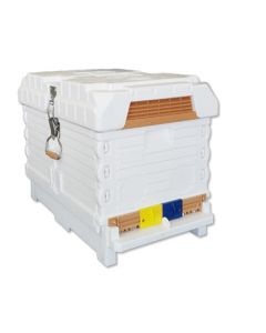 Apimaye 7F (or 2 x 3F) Nucleus Hive