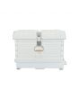 Apimaye 7F (or 2 x 3F) Nucleus Hive