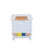 Apimaye 7F (or 2 x 3F) Nucleus Hive