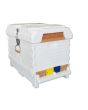 Apimaye 7F (or 2 x 3F) Nucleus Hive