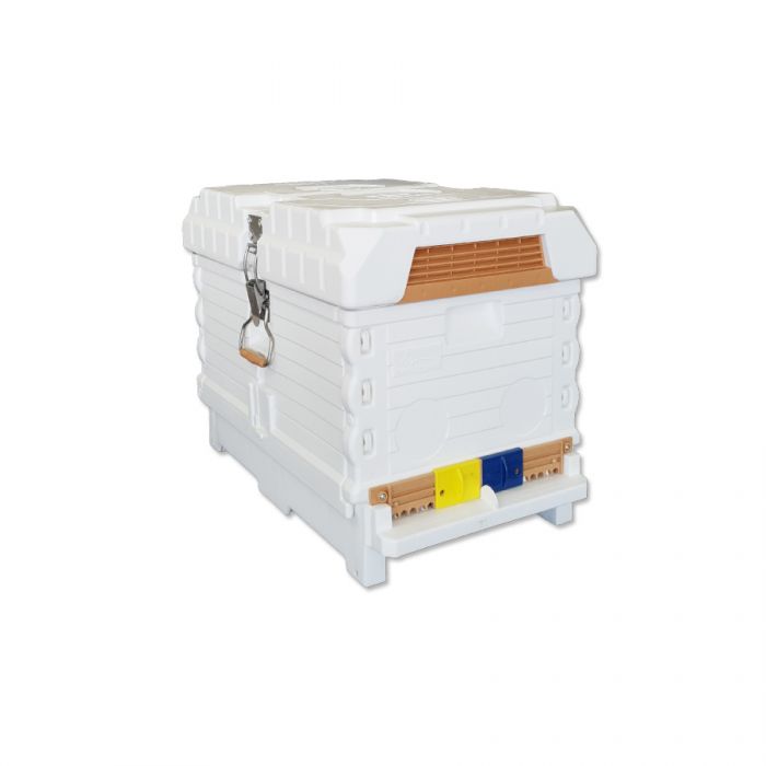 Apimaye 7-Frame Starter Hive - 4 Frames Bees & Newly Raised mated tested queen plus 3 FD waxed frames - RTG
