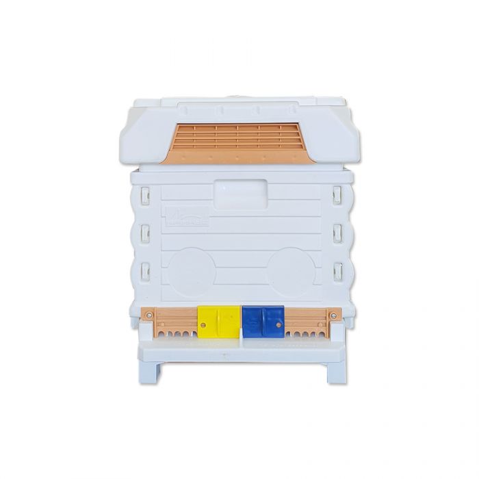 Apimaye 7F (or 2 x 3F) Nucleus Hive