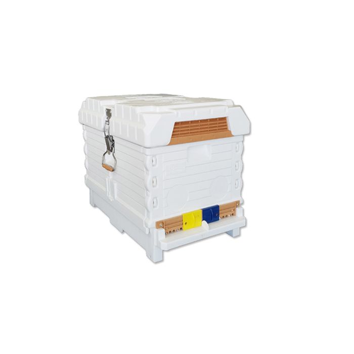 Apimaye 7F (or 2 x 3F) Nucleus Hive