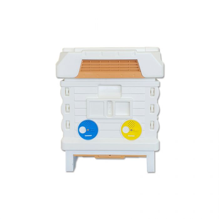 Apimaye 7F (or 2 x 3F) Nucleus Hive