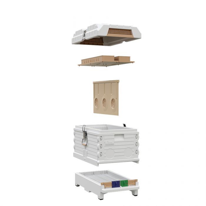 Apimaye 7F (or 2 x 3F) Nucleus Hive